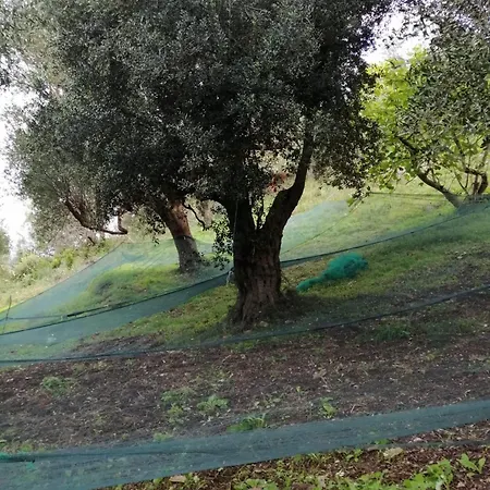 Corte Degli Ulivi Holiday home *
