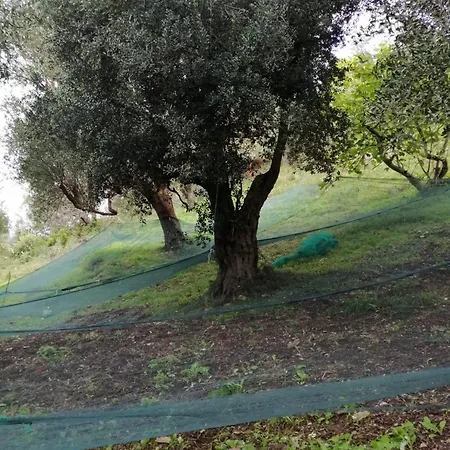 Corte Degli Ulivi Holiday home *