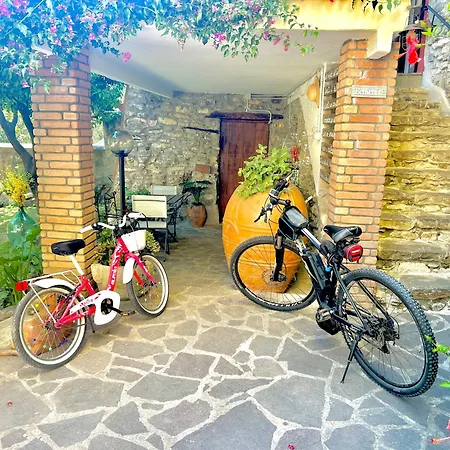 Corte Degli Ulivi Tatil Evi